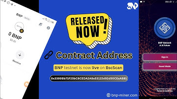BNP network updates News how to add BNP on trust wallet and metamask ....