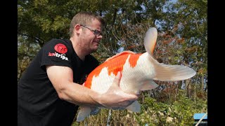 NEW KOI POND BUILD!! 4000 GALLON QUARANTINE SYSTEM! PART 1!!