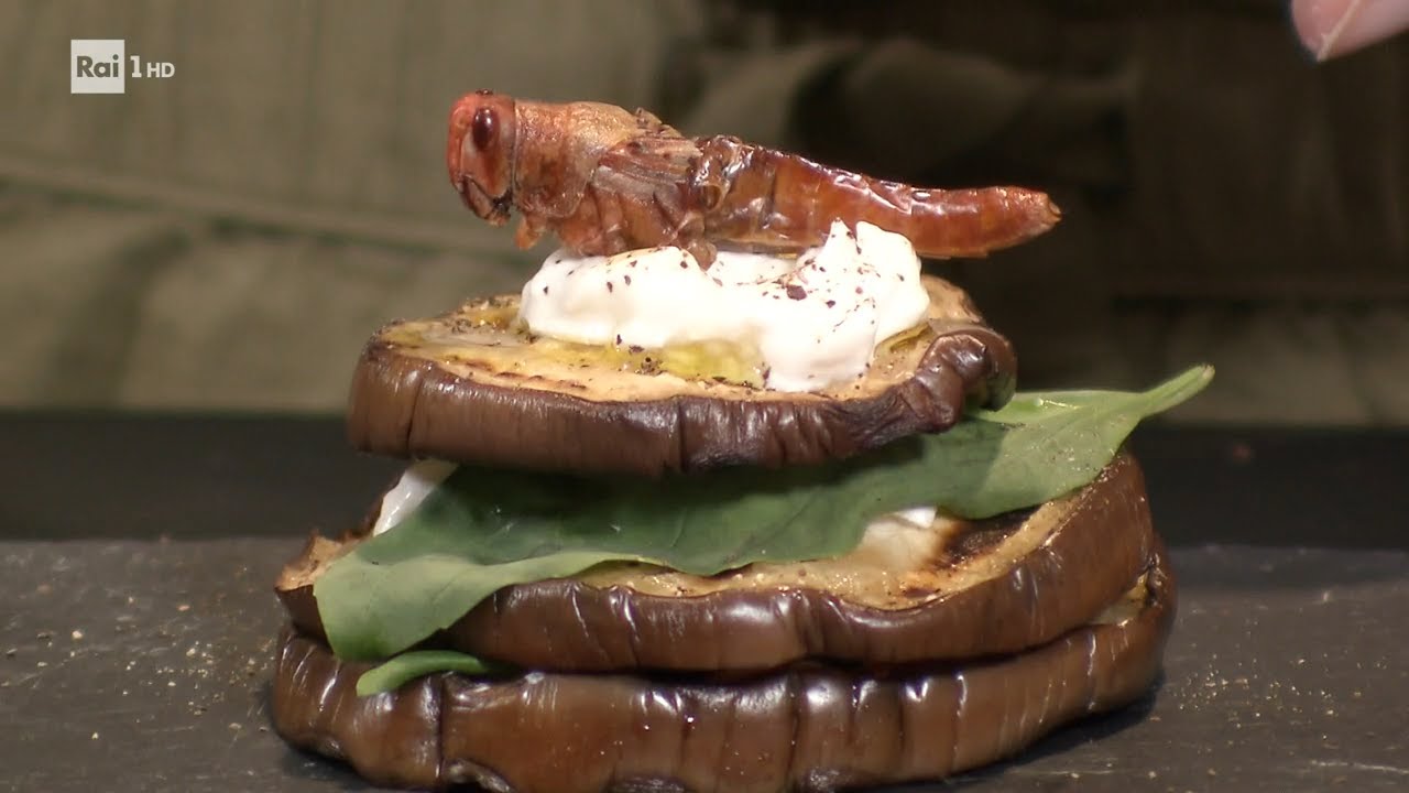 Mangiare gli insetti - Superquark 25/08/2021