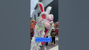 Thumbnail of Bunny Lion #shorts