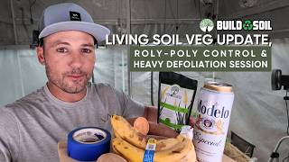 BuildASoil: 10x10 Series // Episode 7 Living Soil Veg Update, Roly-Poly Control & Heavy Defoliation