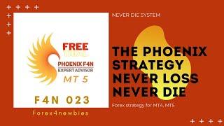💠 Download free version Phoenix F4N Auto expert advisor, hedging martingale strategy forex strategy.