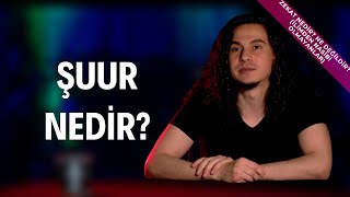 Şuur Nedir?