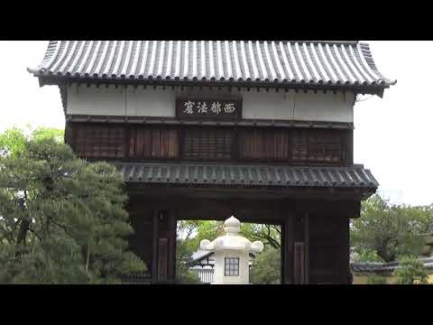 崇福寺／ホームメイト