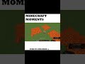 MINECRAFT MOMENTS  2 #youtubeshorts #minecraft #shorts