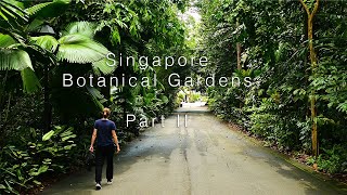 Tropical Hike - Singapore Botanical Gardens - Part II - The most greenest gardens in the world