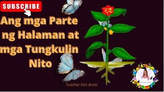 Ang mga Parte ng Halaman at mga Tungkulin Nito/ Bahagi ng Aklat