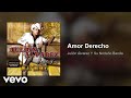 Julión Álvarez Y Su Norteño Banda - Amor Derecho (Audio)