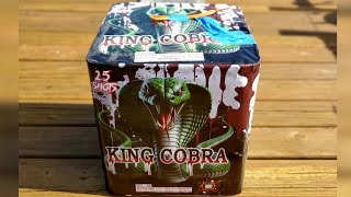 KING COBRA 2.5 25 SHOT FIREWORK CAKE #fireworks #pyro #newyear #celebration 