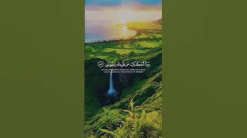 🌿 آيات من سورة طه بصوت الشيخ #هيثم_الدخين #قران_كريم