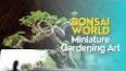 The Intriguing World of Bonsai: Miniature Masterpieces of Nature ile ilgili video