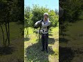 失敗せずに木をさっぱりさせる方法　#園芸 #ガーデニング #shorts