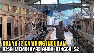 Pak sutar ternak kambing Jawa randu bisa biayai anak hingga S2