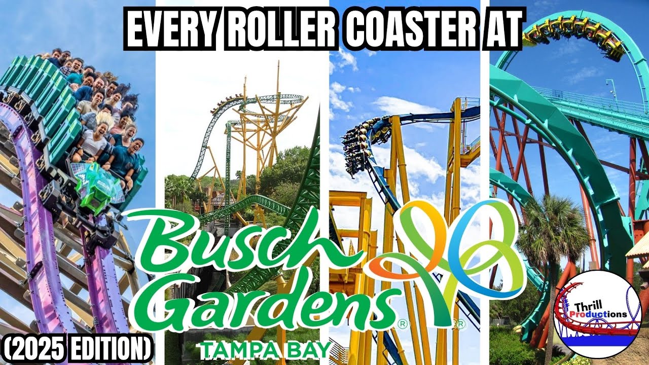 Every Roller Coaster at Busch Gardens Tampa! (2025 Edition)
