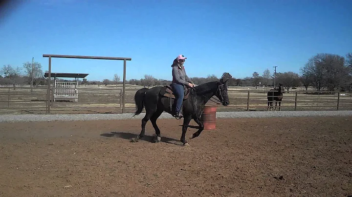 Traci Roy on Limited 12/3/13
