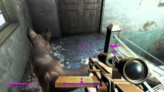 dogmeat you IDIOT