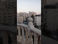 مين قال انو الشوارع رح ضل نفس الاشي