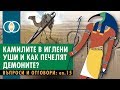 Камилите в иглени уши и какво печелят демоните? (Q&A-15)