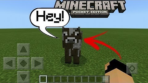 MCPE 1.0.5 Talking Mobs Command block creation