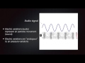 Understanding an audio signal