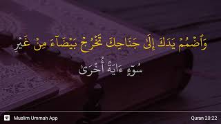 Ta Ha verse 22