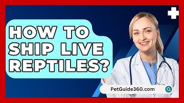 How To Ship Live Reptiles? - PetGuide360.com