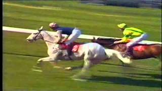 1988 Whitbread Gold Cup Sandown extended footage Desert Orchid