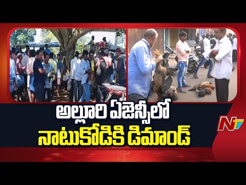 Alluri District: దసరాకు ముందే కొండెక్కిన నాటు కోడి ధర | NTV Telugu - NTVTELUGU