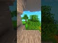 Tsunamis are not that big bro #rant #why #minecraftparkour