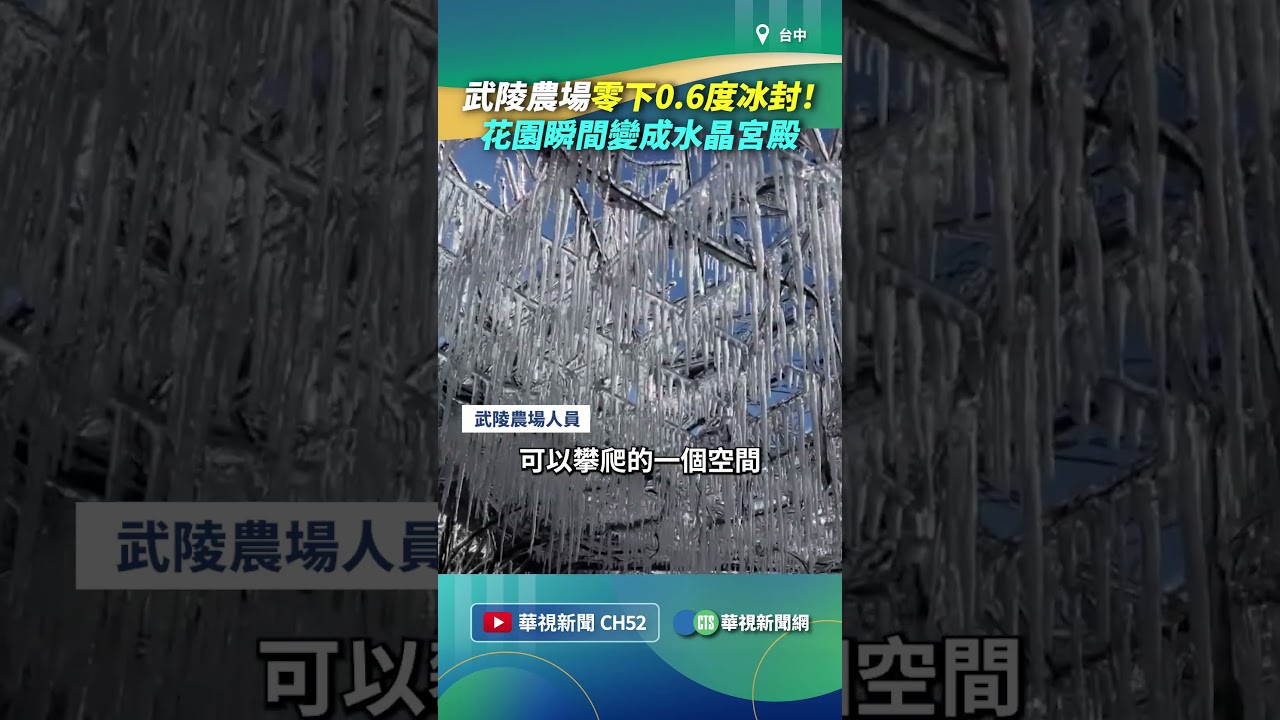 武陵農場零下0.6度冰封！　花園瞬間變成水晶宮殿｜👉小編推新聞 20260313#shorts