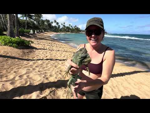 Crazy pregnant woman grabs iguana