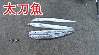 太刀魚釣り「太刀魚ゲッターを改造すると必殺仕掛けになる」