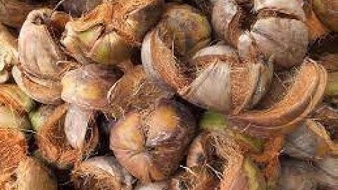 Coconut pallet machines | Coir pallet equipment