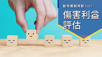 Video 2