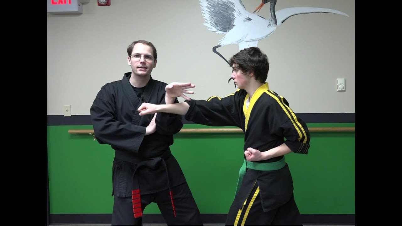 Shaolin White Crane Covering Block