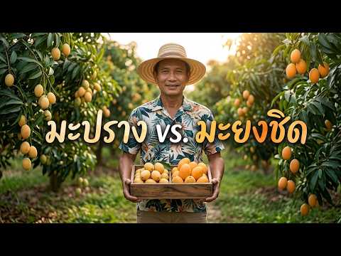 Marian plum vs. Mayongchid: Identical twins, but how are they different? Simple ways to tell them...