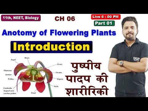 Part 01 Anotomy of Flowering Plants (Introduction), Chap 06, 11th Biology