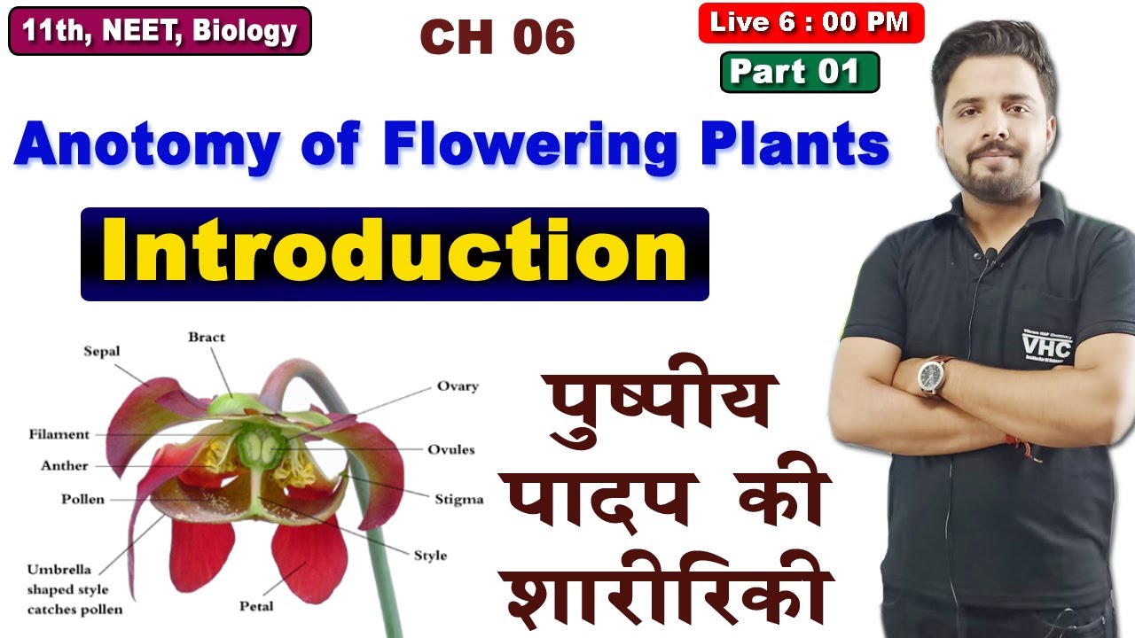Part 01 Anotomy of Flowering Plants (Introduction), Chap 06, 11th Biology