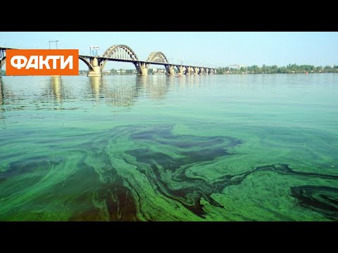 Зелений Дніпро. Чому