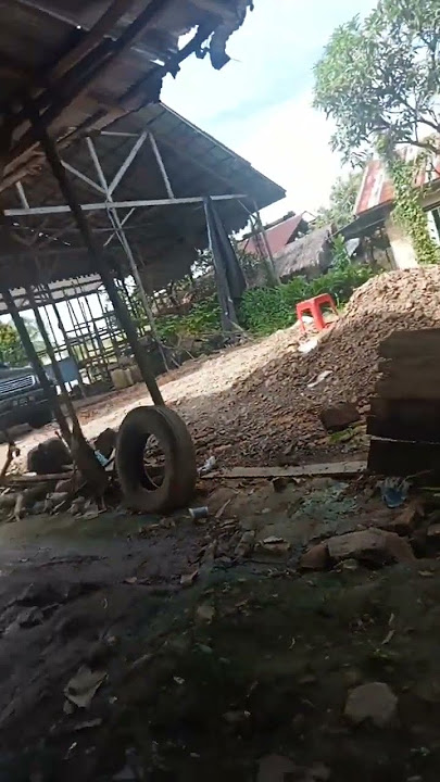 anjing dan sampah