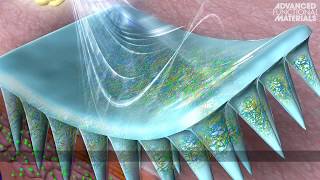 Microneedle Array Patch with Enzyme Free Polymeric Components for On Demand Insulin Delivery 720p