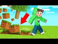 Touch BLOCK = FLOAT In MINECRAFT! (World Ends)