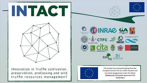 INTACT project Kick off Meeting
