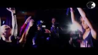 REVERIE X Palm Trees  @ La Balle au Bond