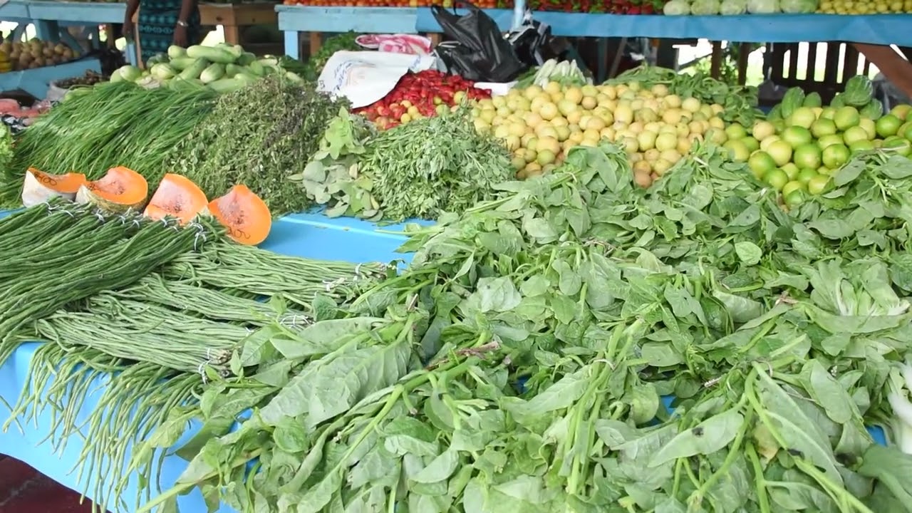 Agri Investment Forum, Expo 2023 launched