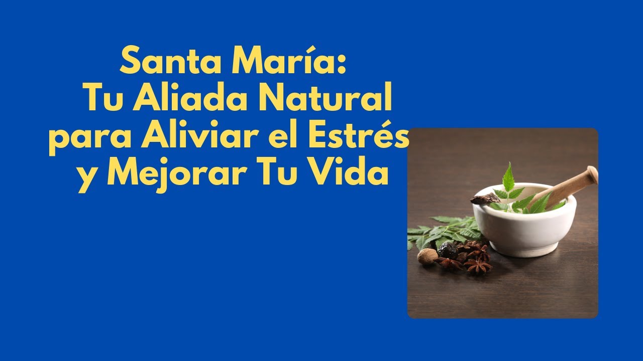 Hierba Medicinal Santa María: Tu Aliada Natural para Aliviar el Estrés y Mejorar Tu Vida