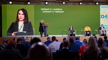 Plenary Session 4: RESPONSIBILITY OF THE RF FOR WAR-TIME ENVIRONMENTAL DAMAGE IN UKRAINE