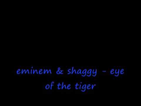 eminem & shaggy - eye of the tiger (dj defcon remix)216