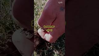 819 Sayfamı Takipedermisiniz Ğlencelivideolar