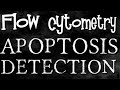 Detect apoptosis using Flow cytometry analysis- CSIR NET